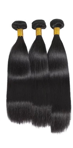 BUNDLE DEAL Raw Vietnamese Hair